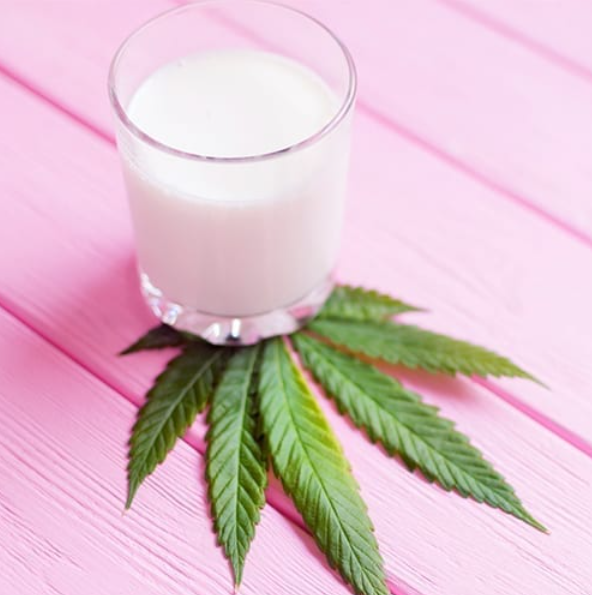Cannabis-Infused Milk Recipes