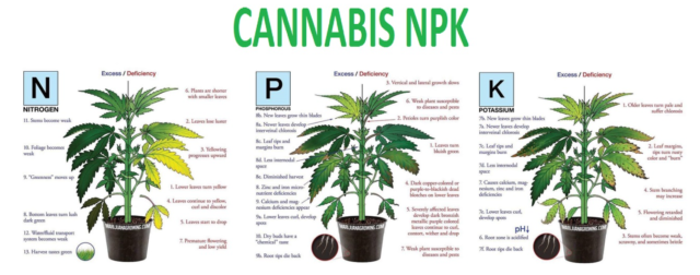 cannabis NPK