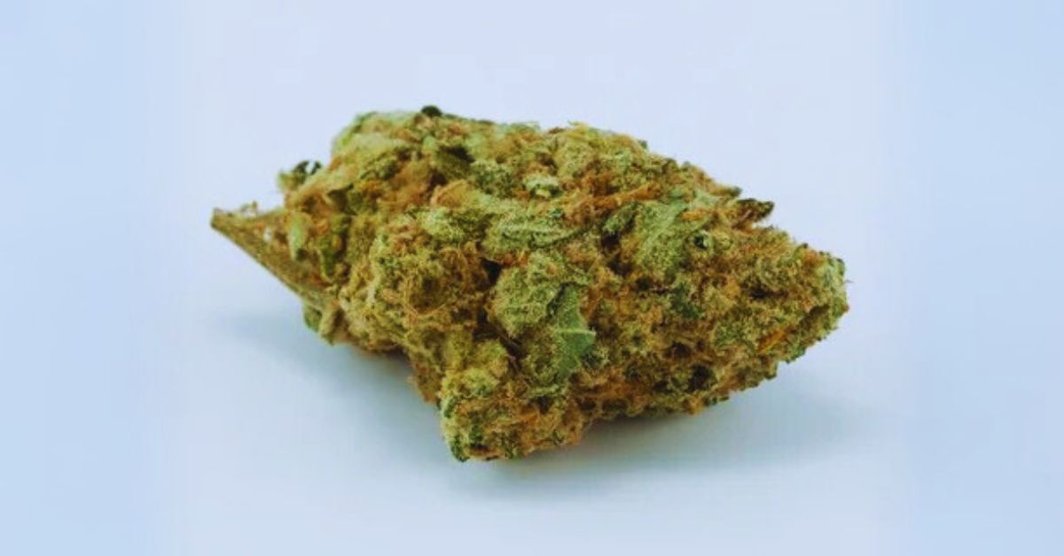 The Story of the Panama Red Cannabis Strain