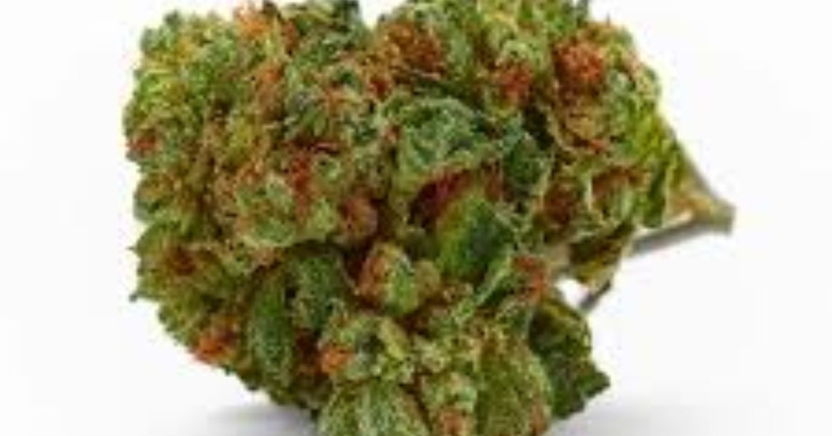 candyland strain