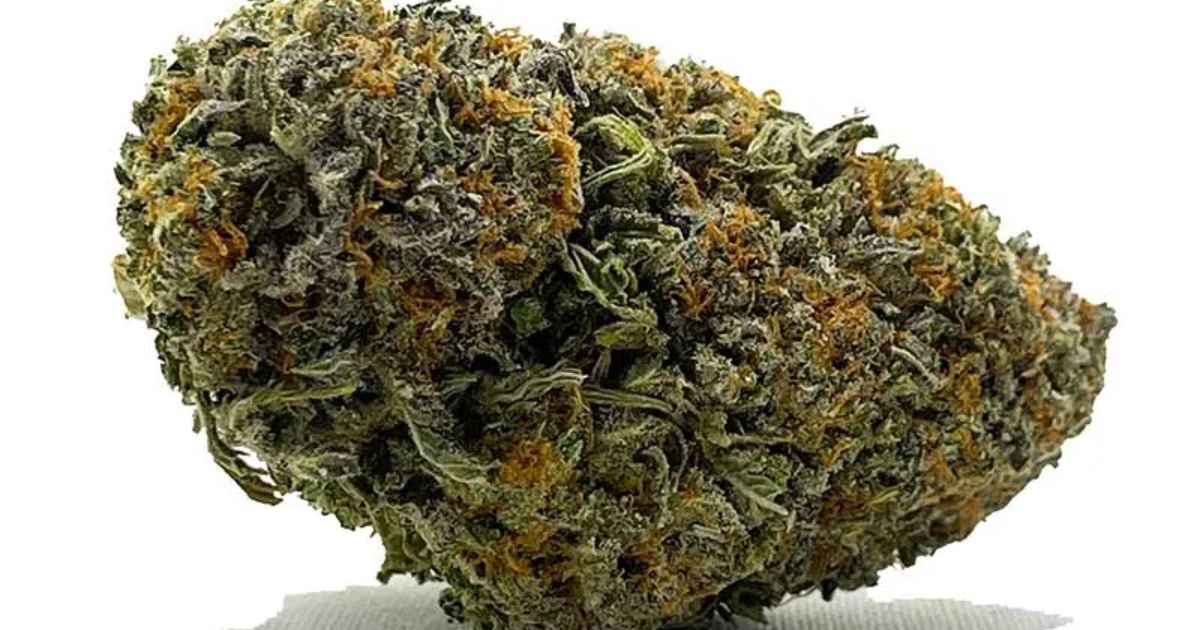 slurricane strain