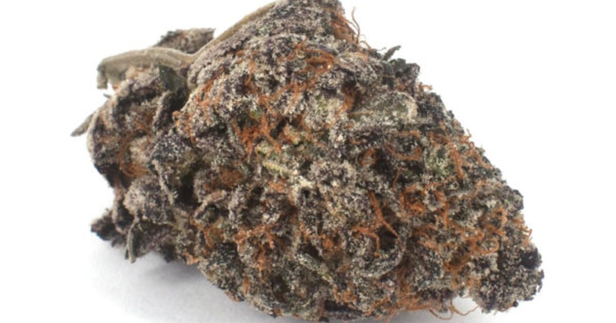slurricane strain
