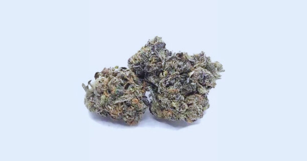 What Strain is Rainbow Runtz? 