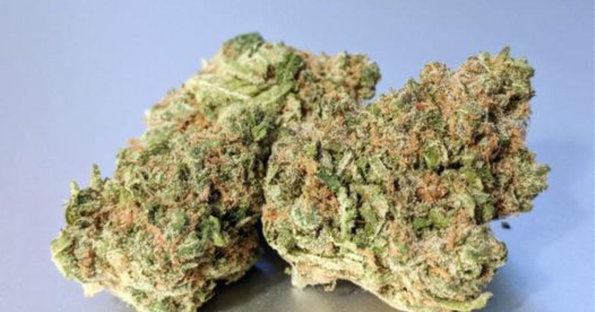 cookies strain