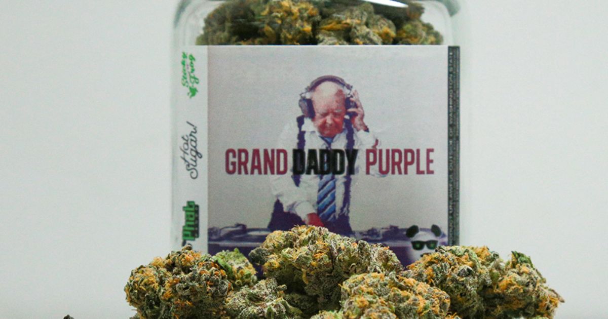grand daddy purple