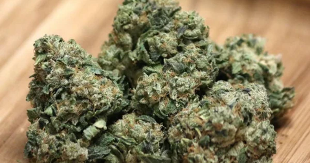 Skywalker OG Strain