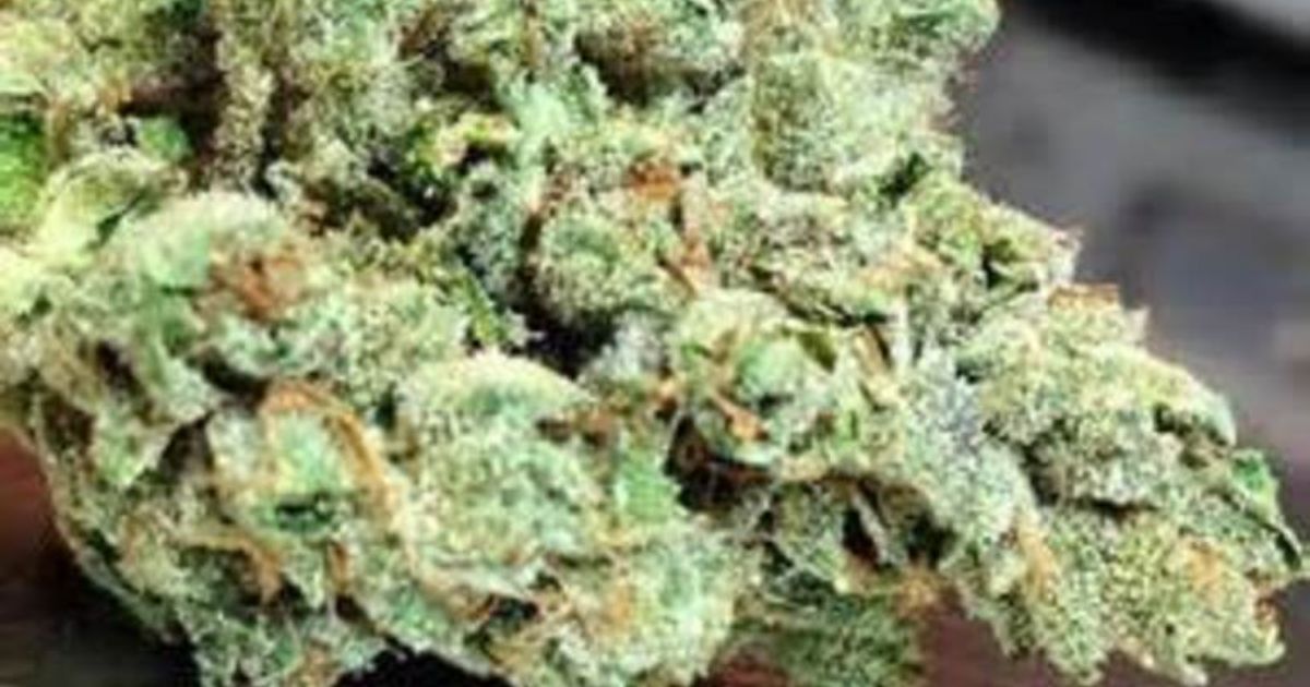 Skywalker OG Strain