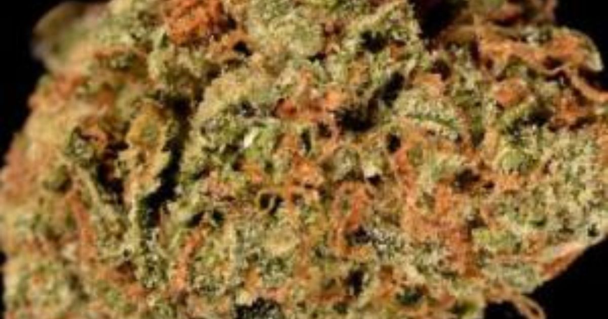 Skywalker OG Strain