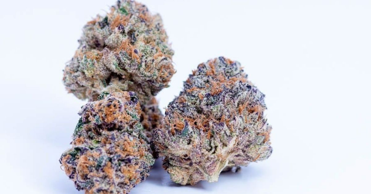 slurricane strain
