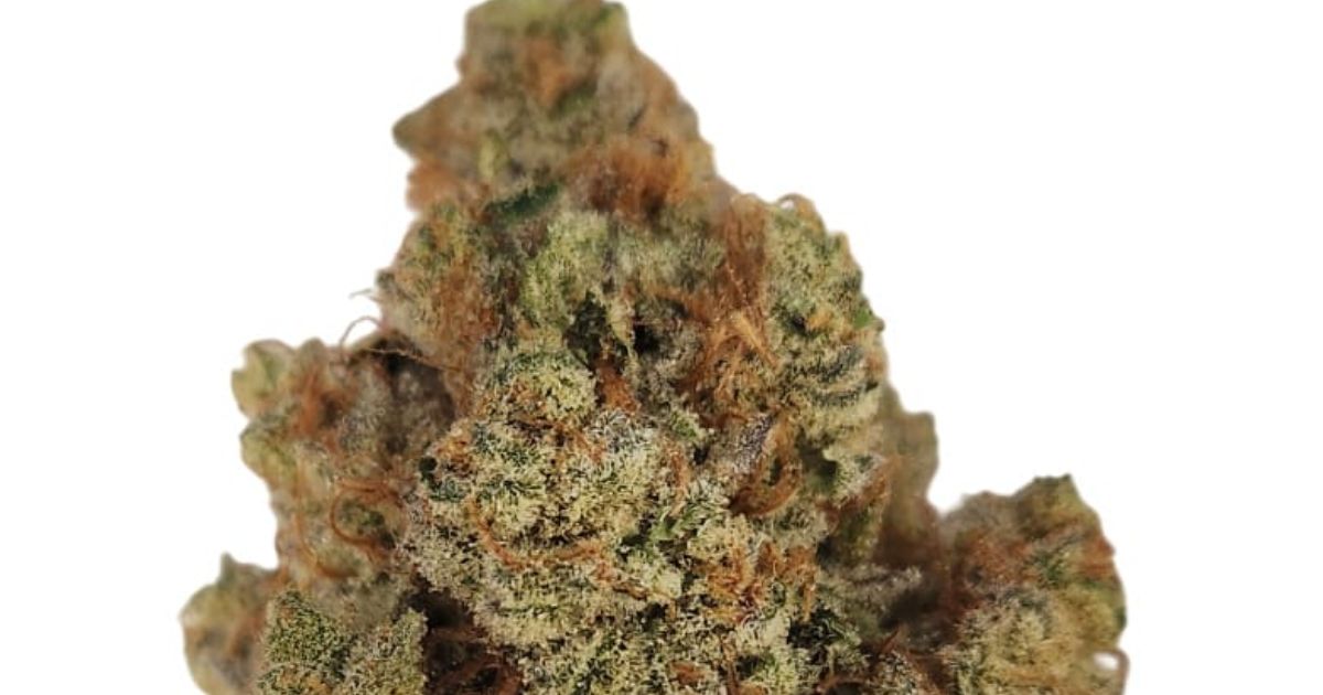 slurricane strain