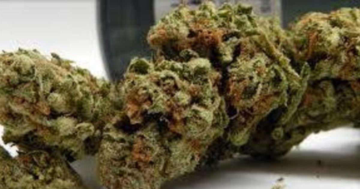 sfv og strain