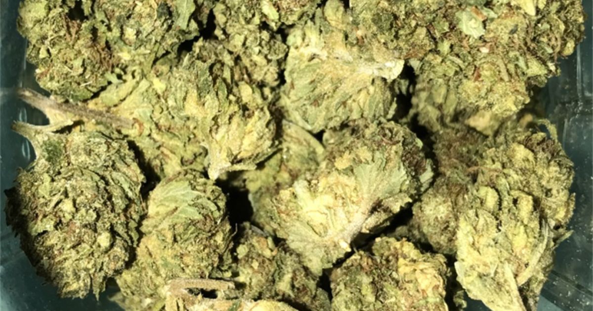 afgoo strain