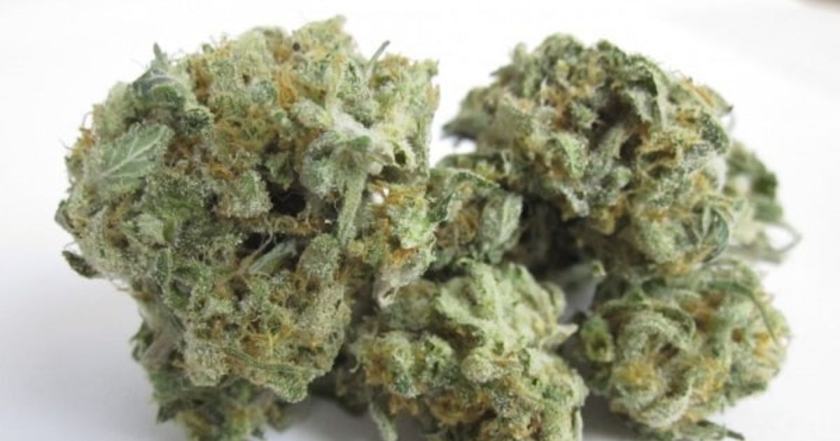 afgoo strain