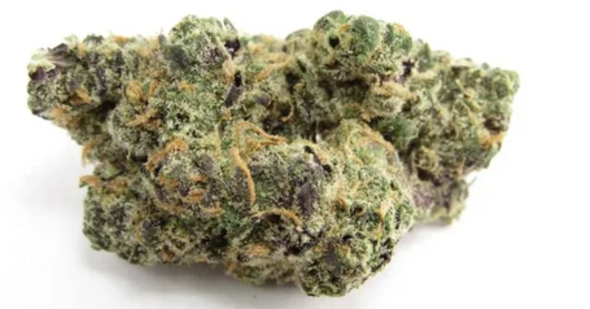 sour apple strain