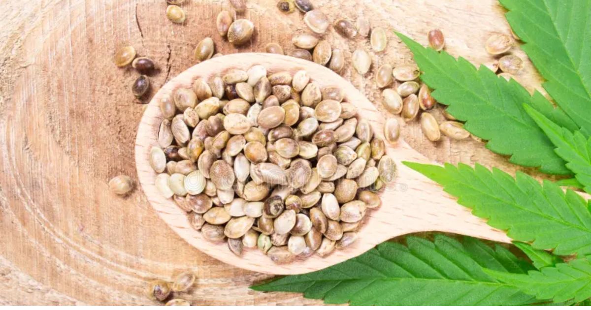 crop king seeds