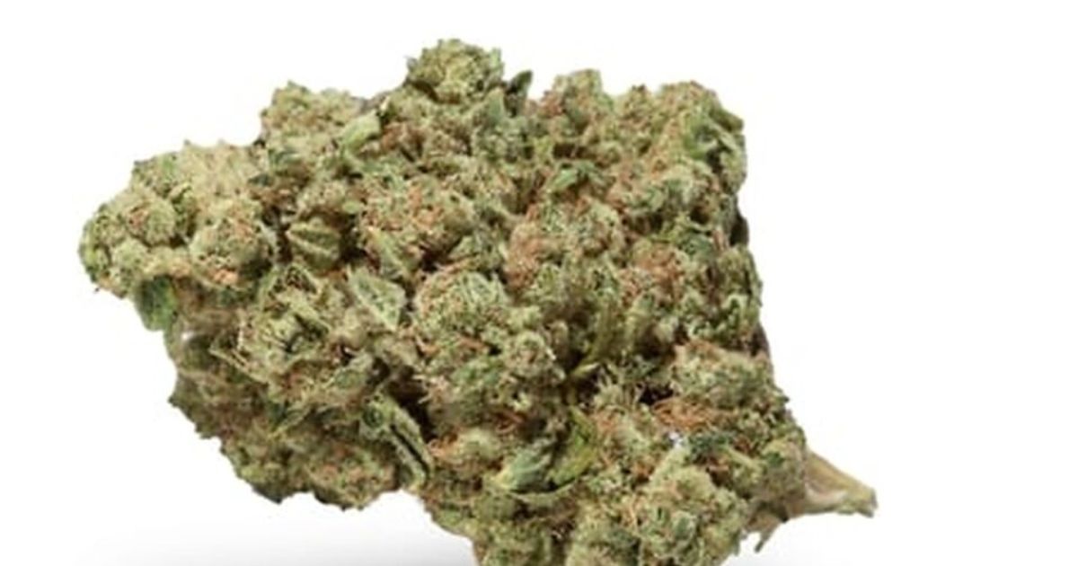 limoncello strain