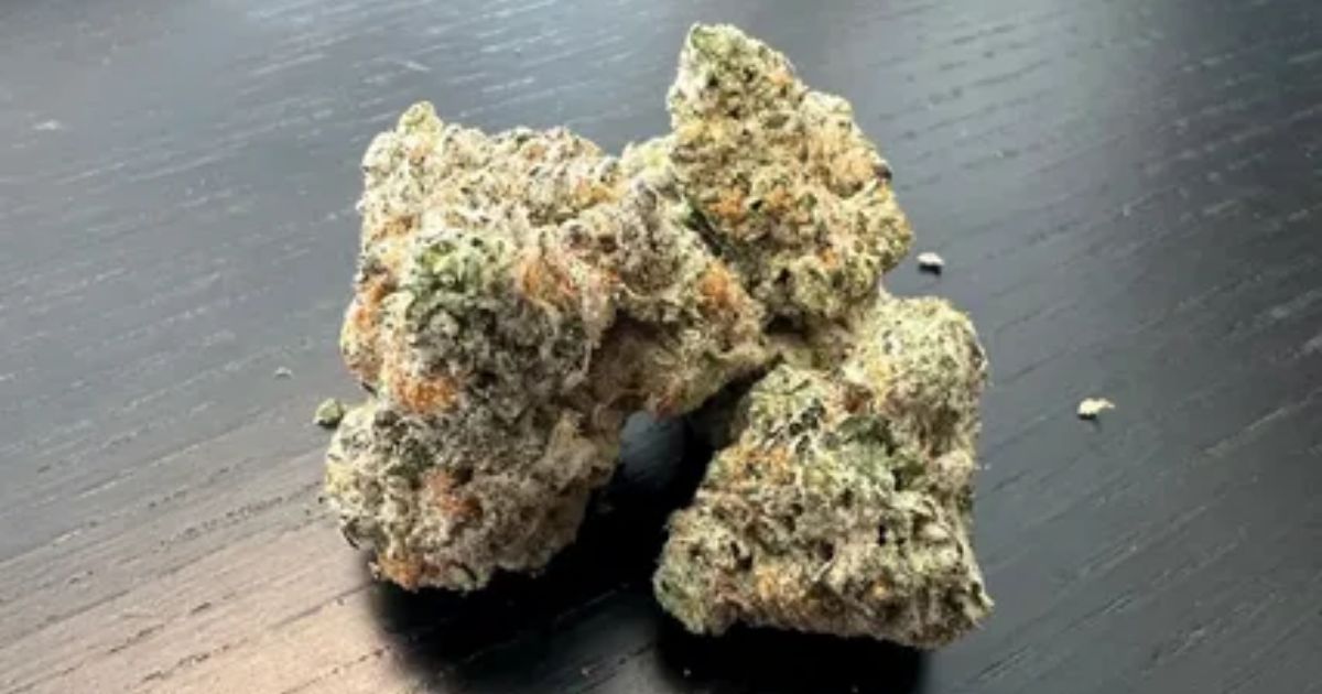 georgia pie strain