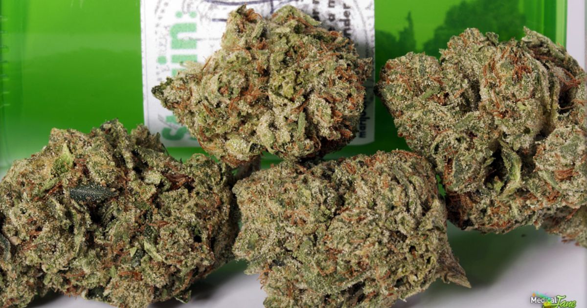 godfather og seeds