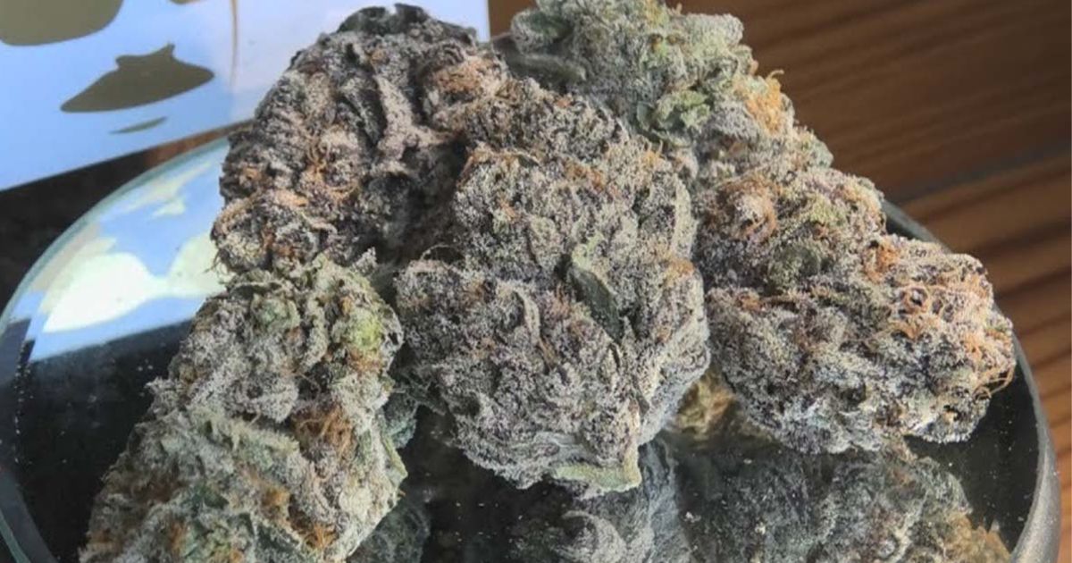 layer cake strain
