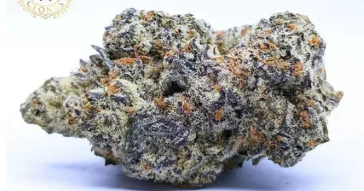 black amber strain
