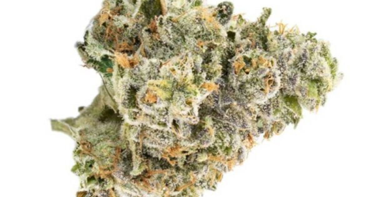 duct tape strain