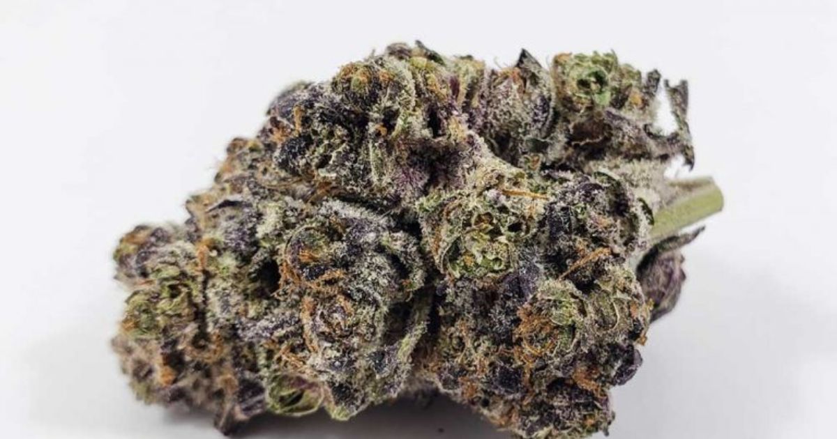 mandarin cookies strain