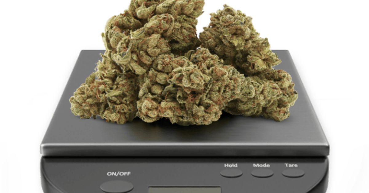 weed scale