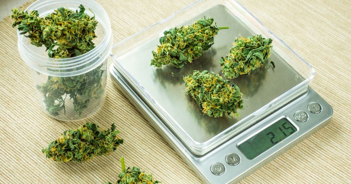 weed scale