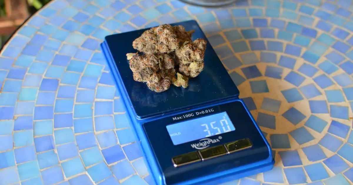 weed scale