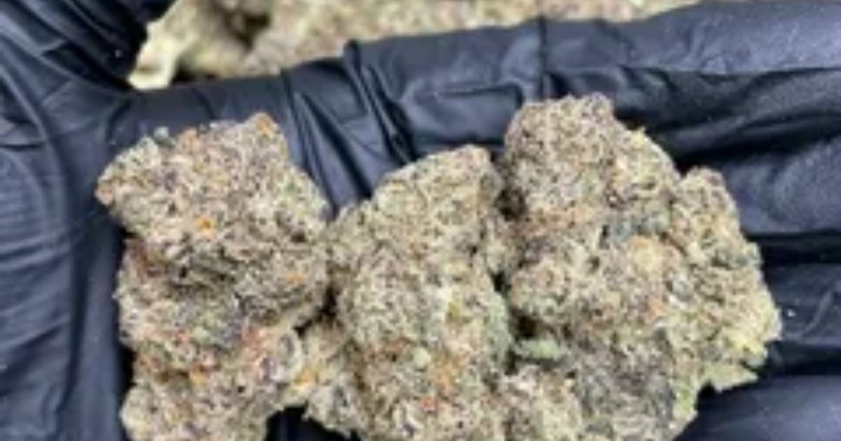 white truffles strain