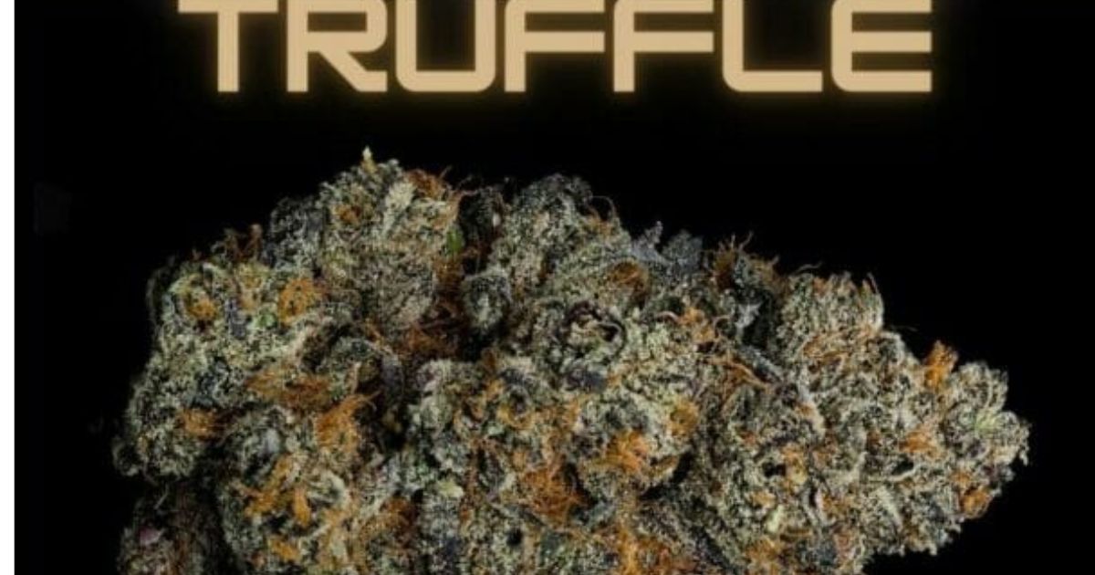 white truffles strain
