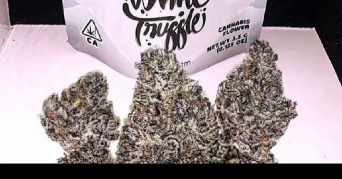 white truffles strain