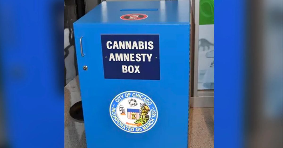 cannabis amnesty box
