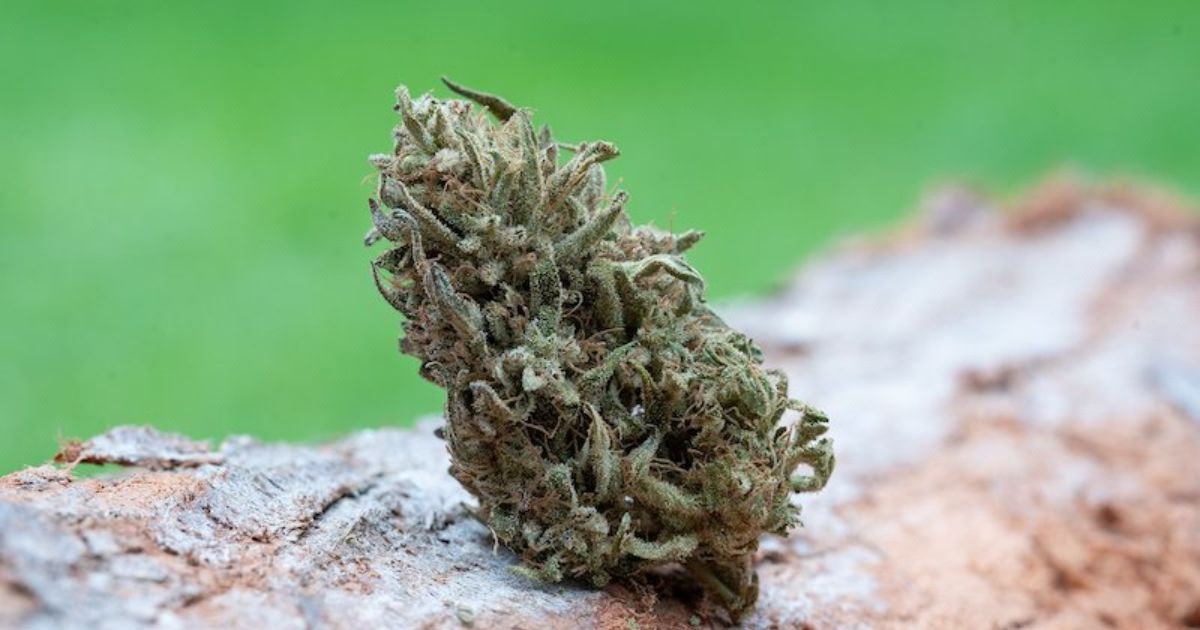 weed flavouring