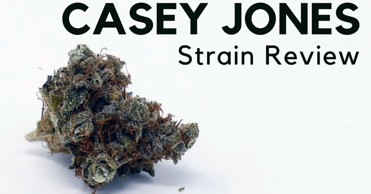 casey jones strain
