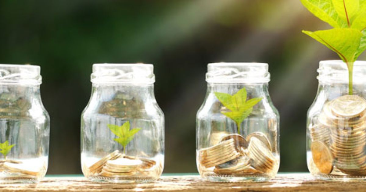 how much should pot cost