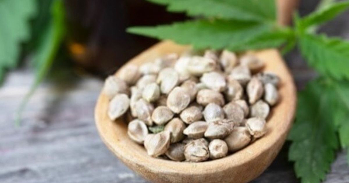 how do i plant weed seeds