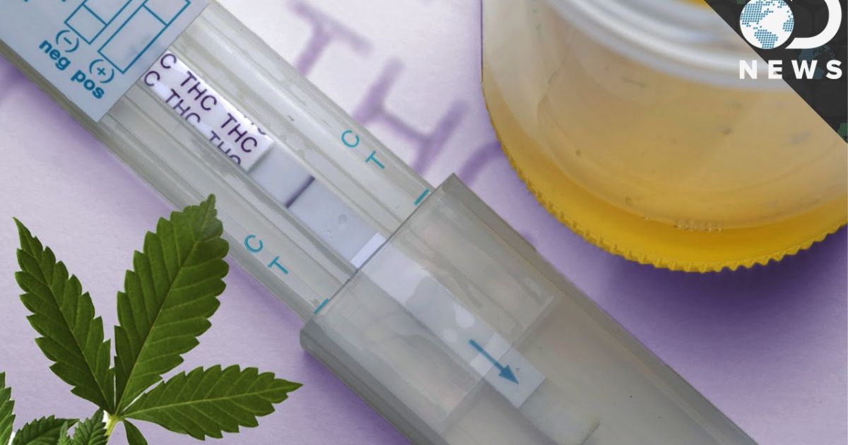 what to use to pass a drug test