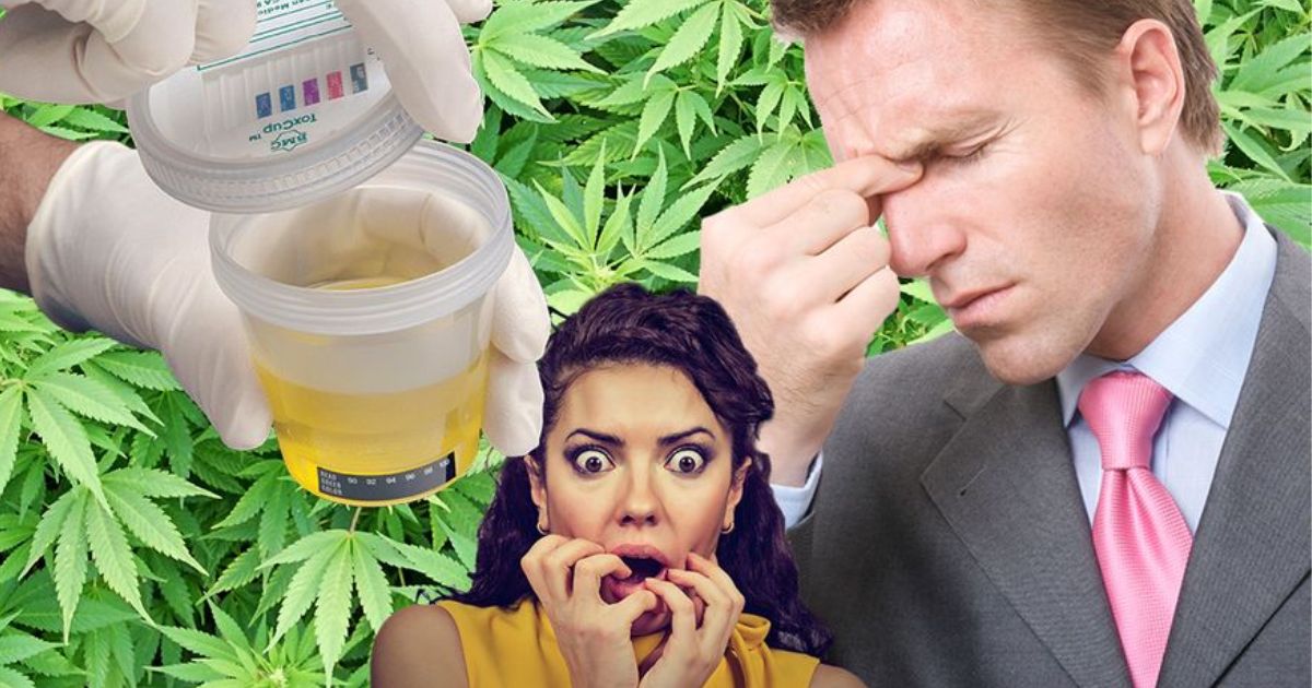what to use to pass a drug test
