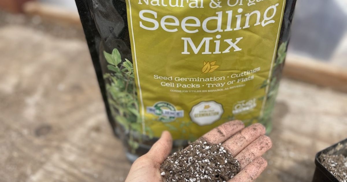 black gold organic potting mix