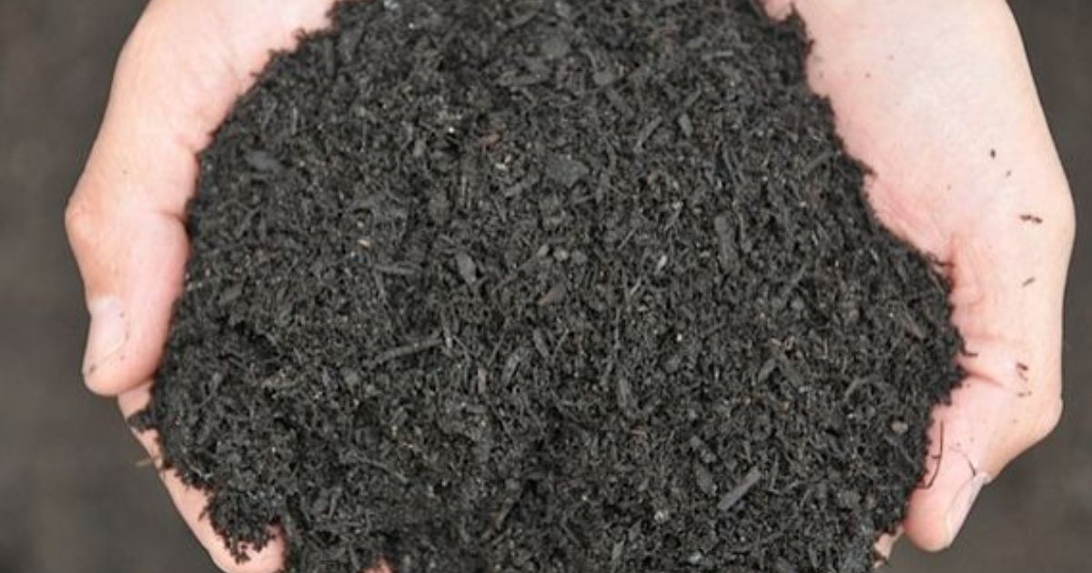 black gold organic potting mix