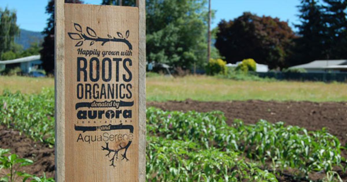 roots organics original potting soil