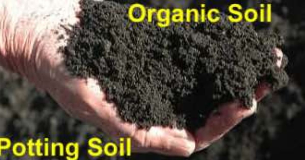 roots organics original potting soil