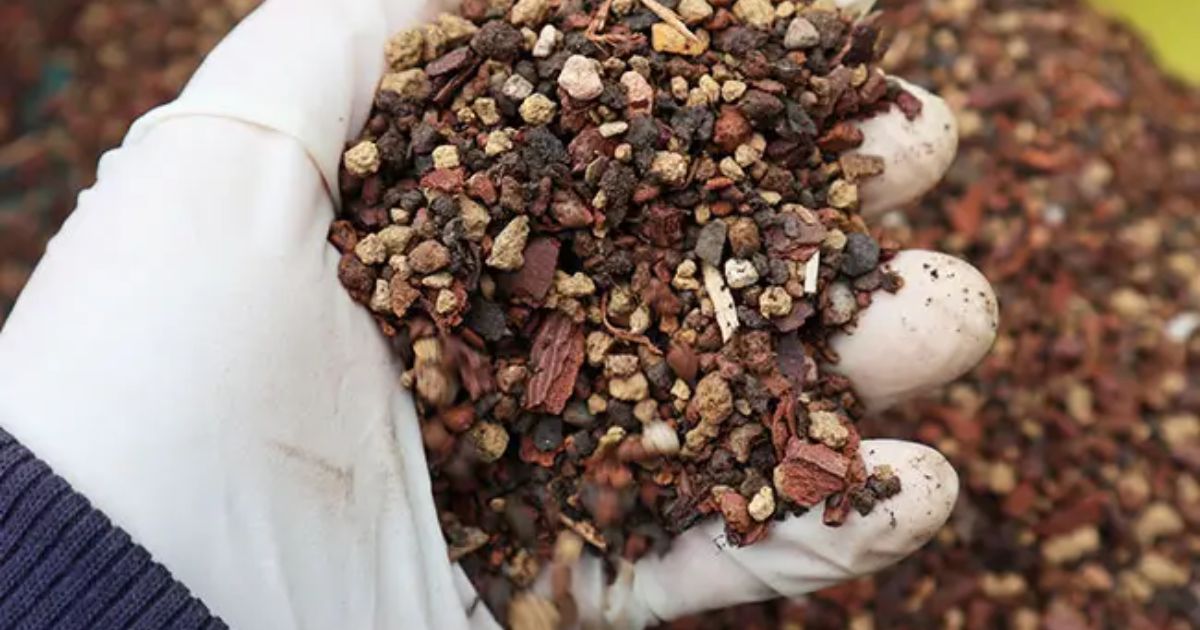 good soil for outdoor weed