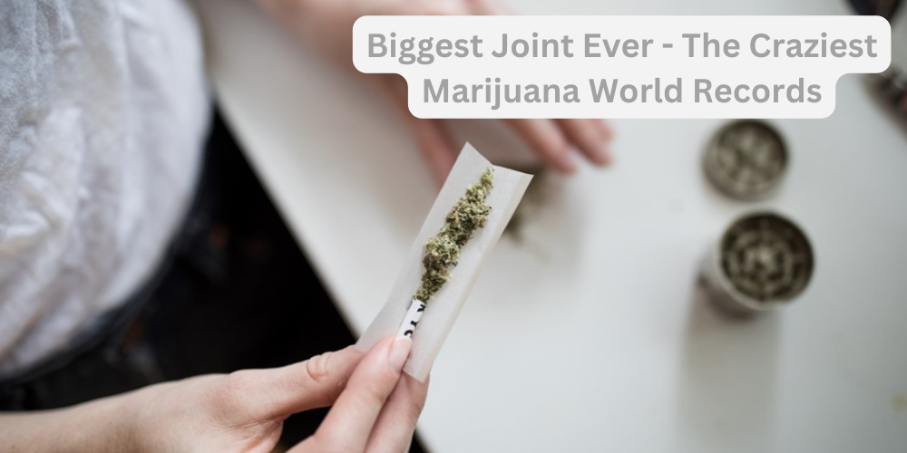 Biggest Joint Ever