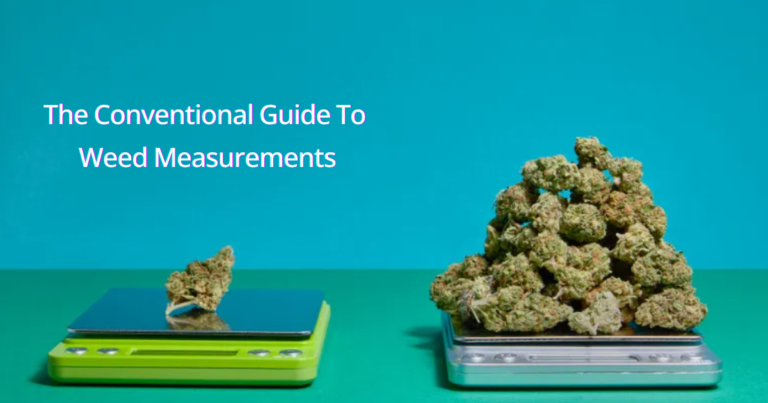 The Conventional Guide To Weed Measurements Greenjungleboysvape