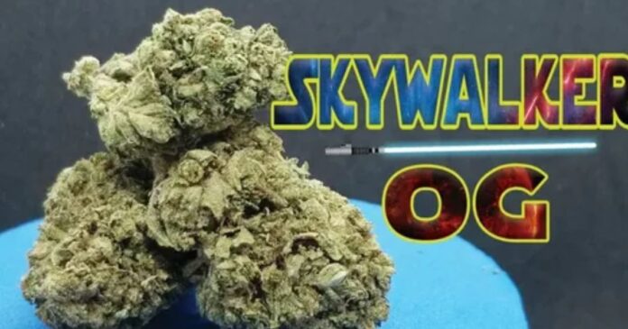 Skywalker OG Strain