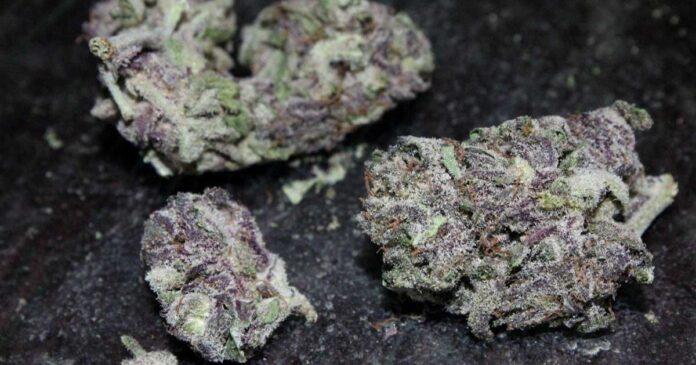 afgoo strain