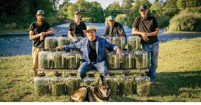 belushi farms