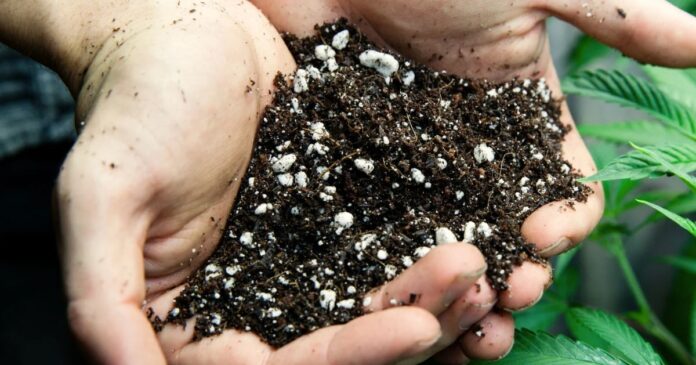 best soil mixture for cannabis